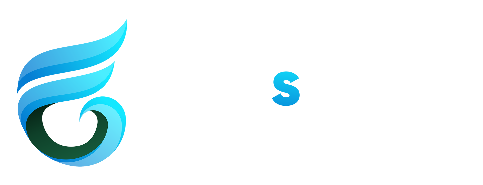 CapeServer Logo